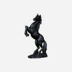 The Equus Form